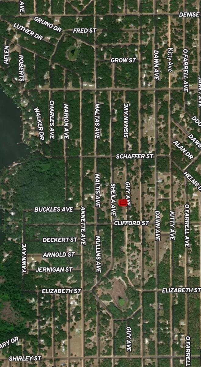 LOT 24 GUY AVE, INTERLACHEN, FL — photo 2