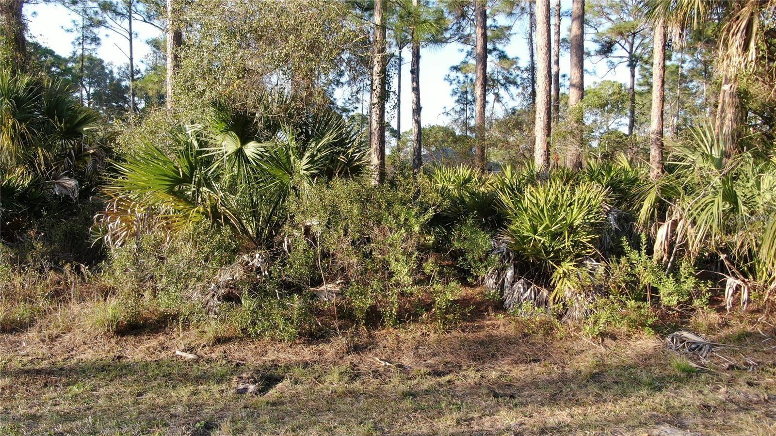 TRAPP ST, NORTH PORT, FL