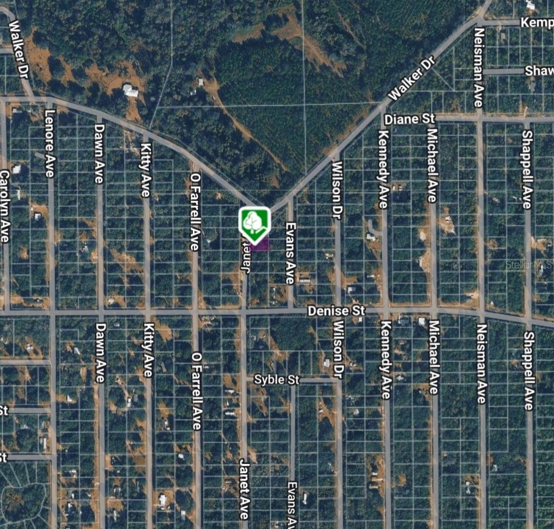 LOT 3 JANET AVE, INTERLACHEN, FL