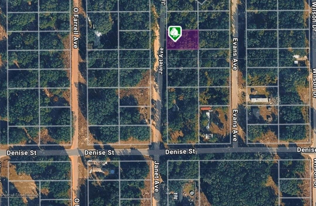 LOT 3 JANET AVE, INTERLACHEN, FL — photo 3