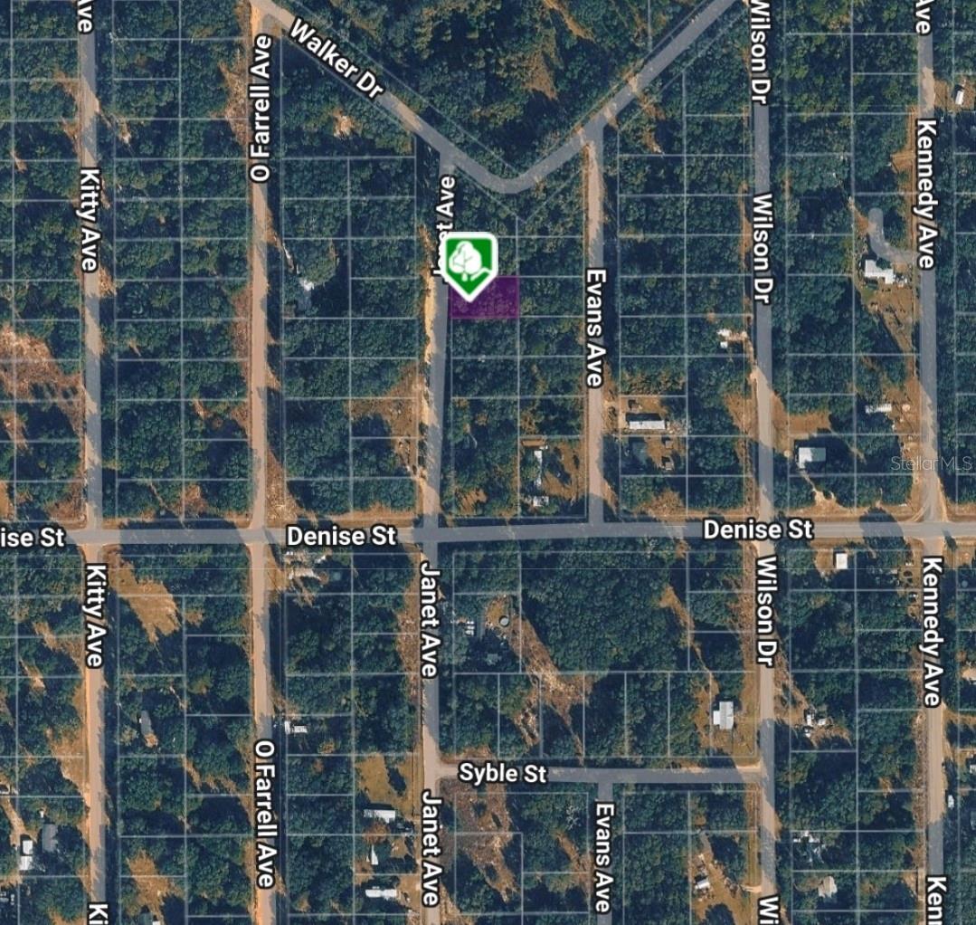 LOT 3 JANET AVE, INTERLACHEN, FL — photo 4