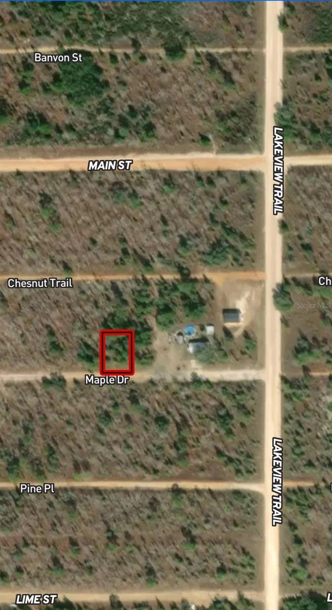 LOT 45 & 46 MAPLE DR, INTERLACHEN, FL