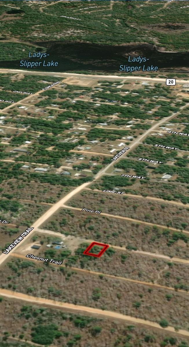 LOT 45 & 46 MAPLE DR, INTERLACHEN, FL — photo 3