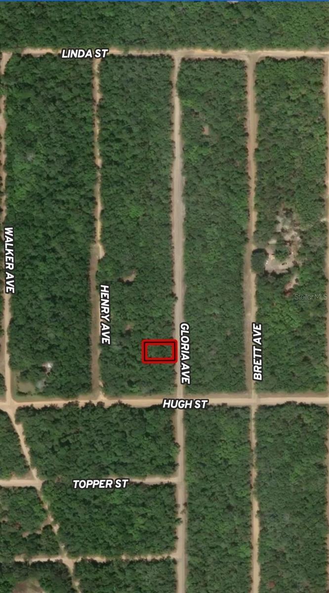 LOT 20 GLORIA AVE, INTERLACHEN, FL
