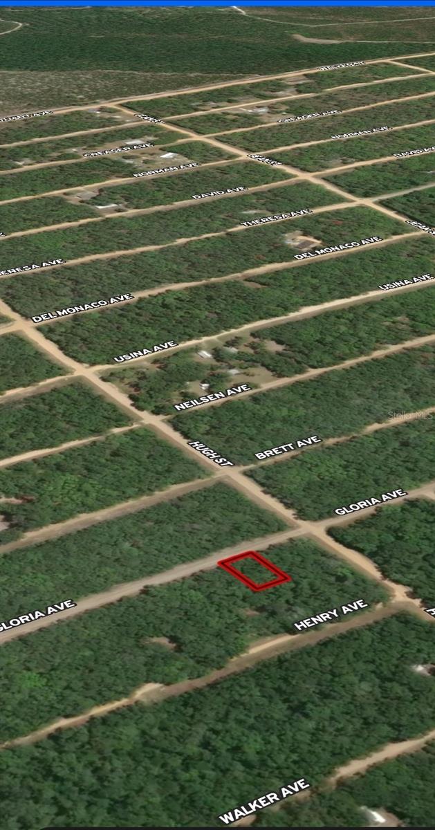 LOT 20 GLORIA AVE, INTERLACHEN, FL — photo 2