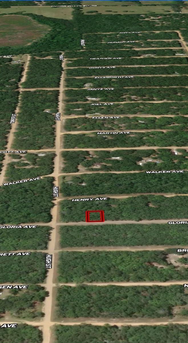 LOT 20 GLORIA AVE, INTERLACHEN, FL — photo 3