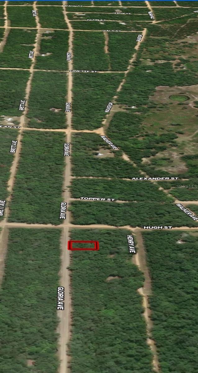 LOT 20 GLORIA AVE, INTERLACHEN, FL — photo 4