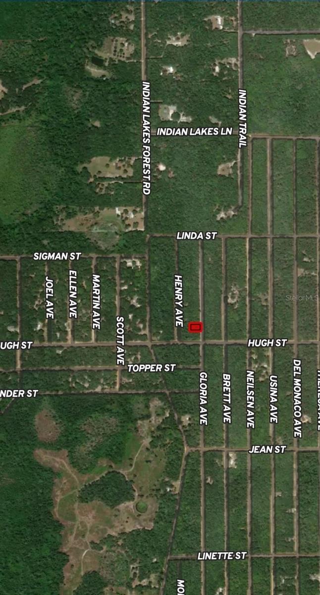 LOT 20 GLORIA AVE, INTERLACHEN, FL — photo 5