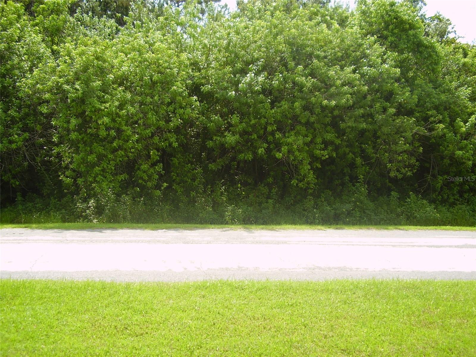 321 CAEN CT, KISSIMMEE, FL — photo 4