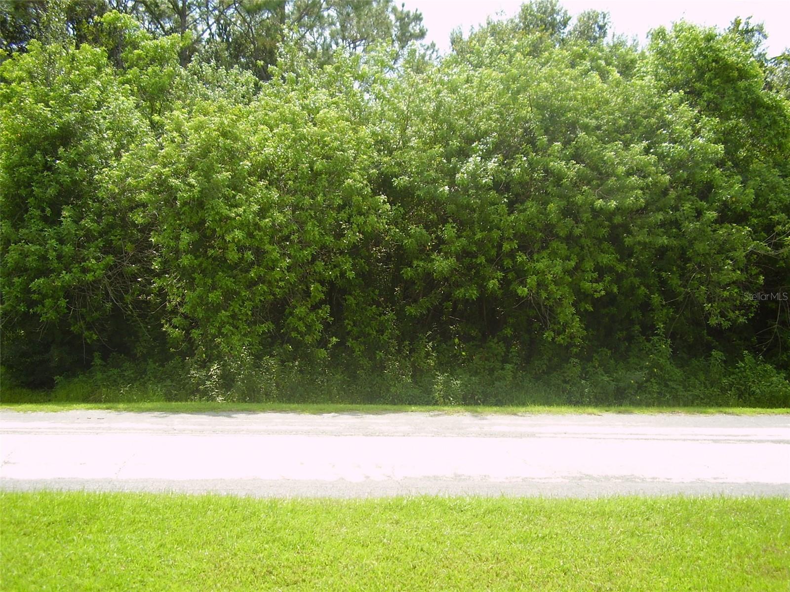 321 CAEN CT, KISSIMMEE, FL — photo 5