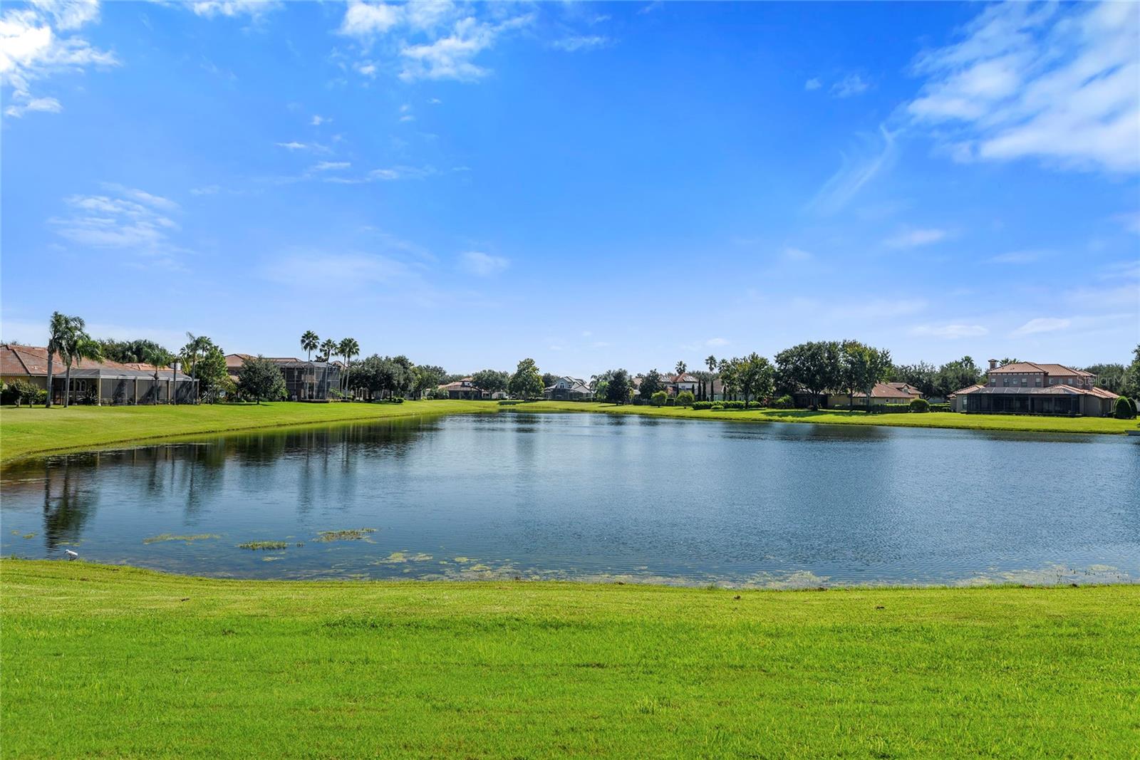 13420 BONICA WAY, WINDERMERE, FL — photo 50