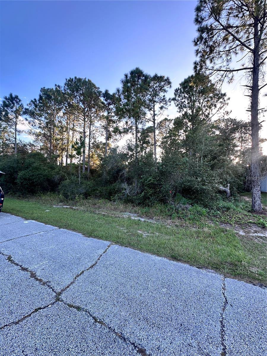 1548 MEDITERRANEAN DR, KISSIMMEE, FL — photo 3
