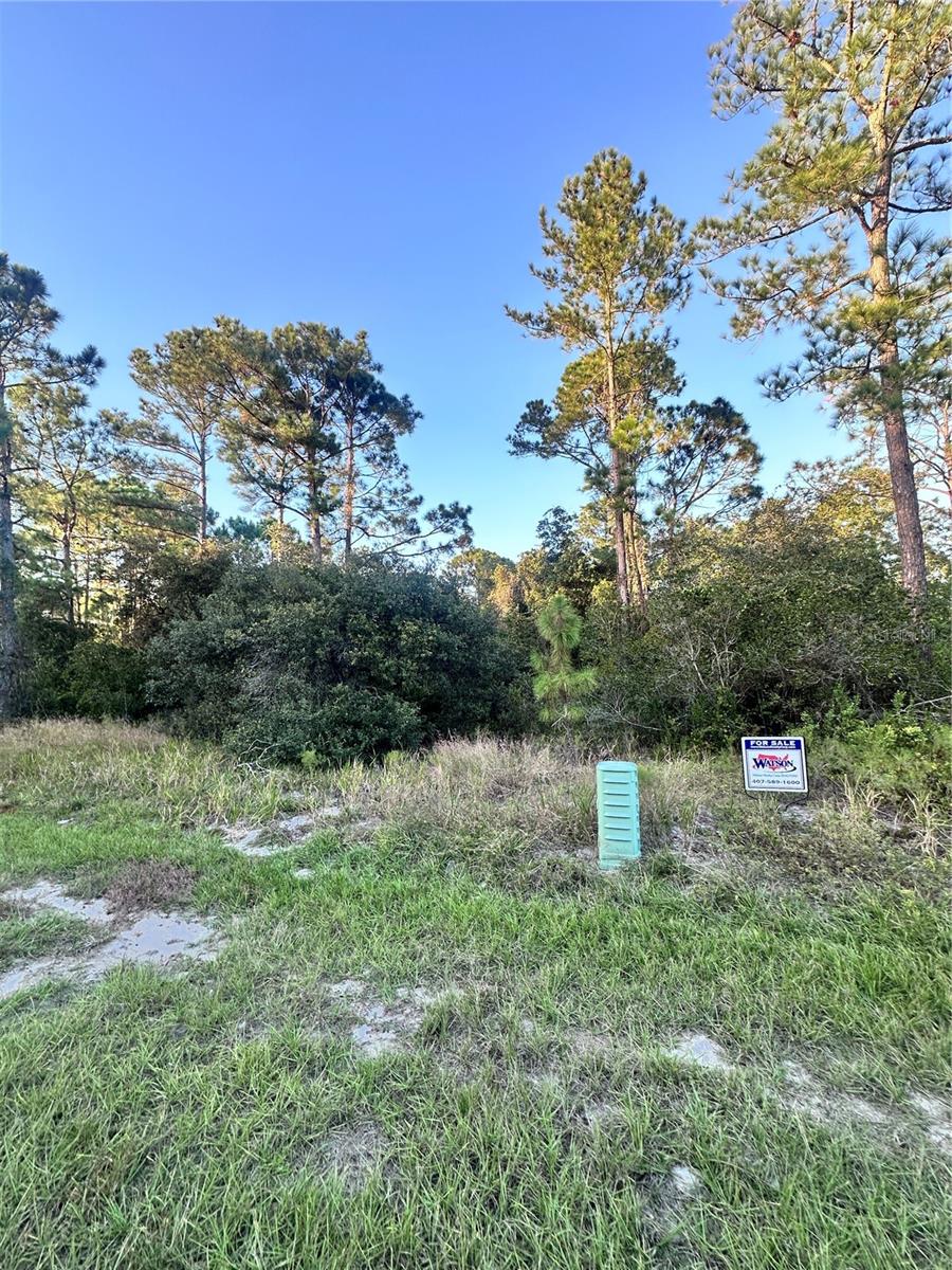 1566 MARLIN DR, KISSIMMEE, FL — photo 3