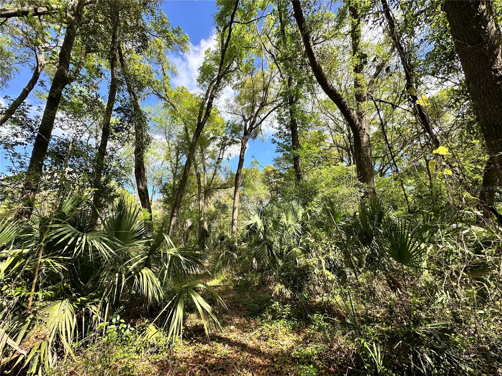 tbd SW 5TH LN, OCALA, FL — photo 2