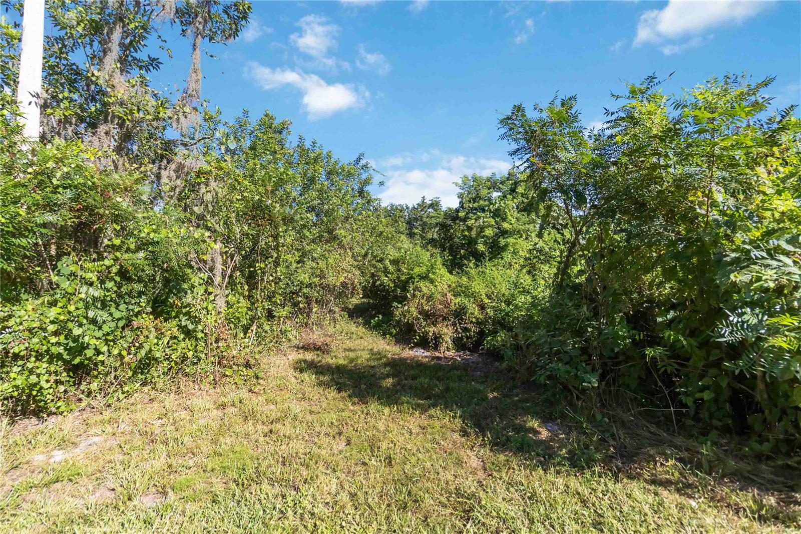 0 EDSEL AVE, ST CLOUD, FL — photo 13
