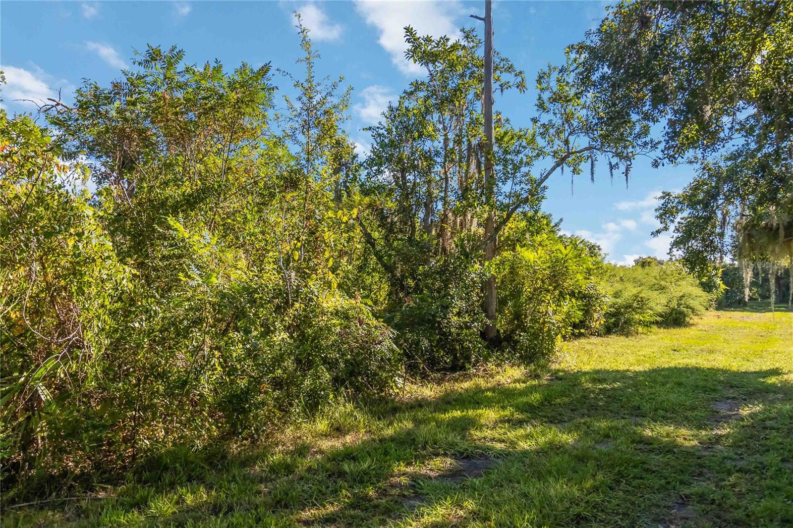 0 EDSEL AVE, ST CLOUD, FL — photo 14