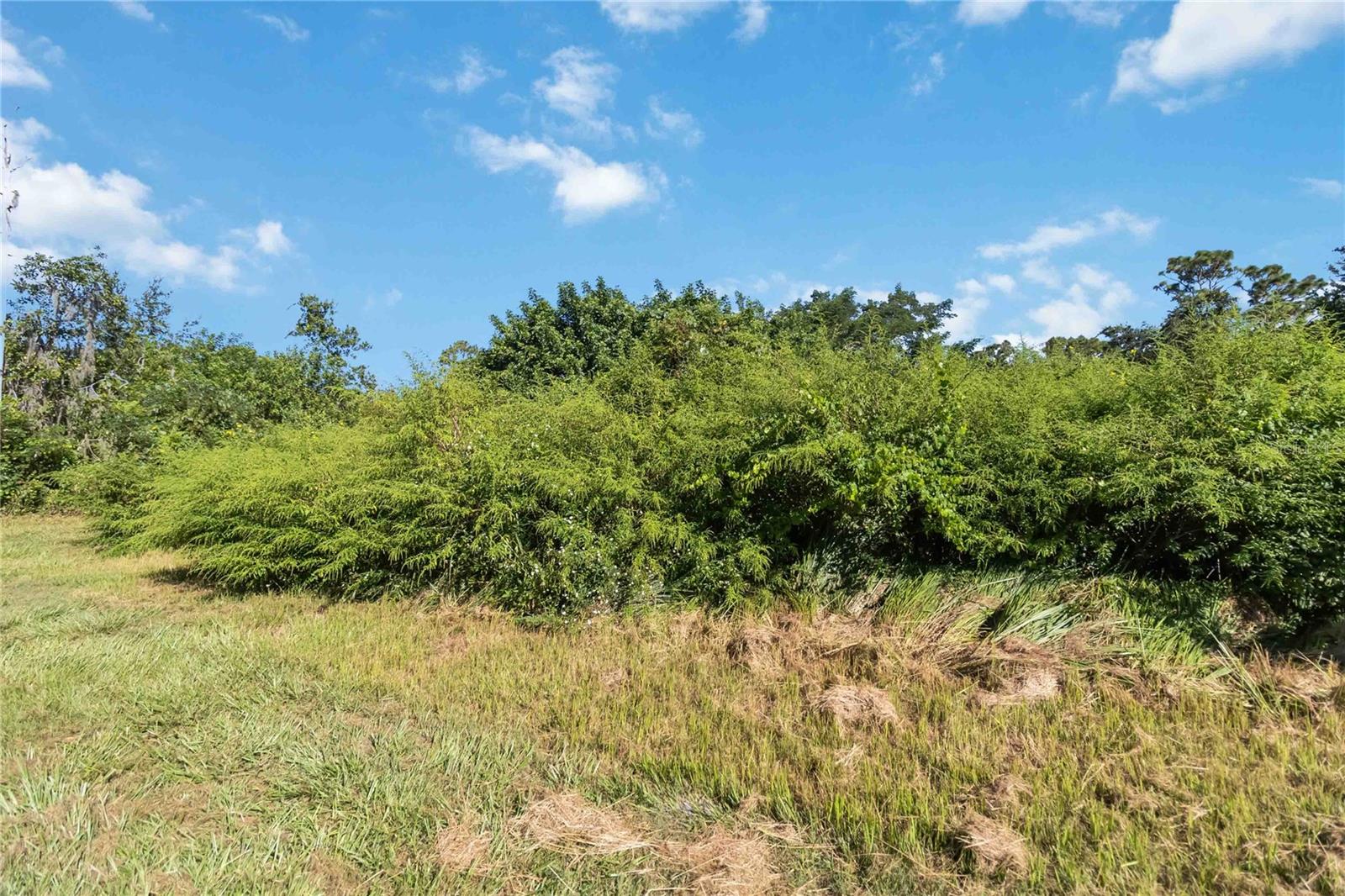 0 EDSEL AVE, ST CLOUD, FL — photo 15