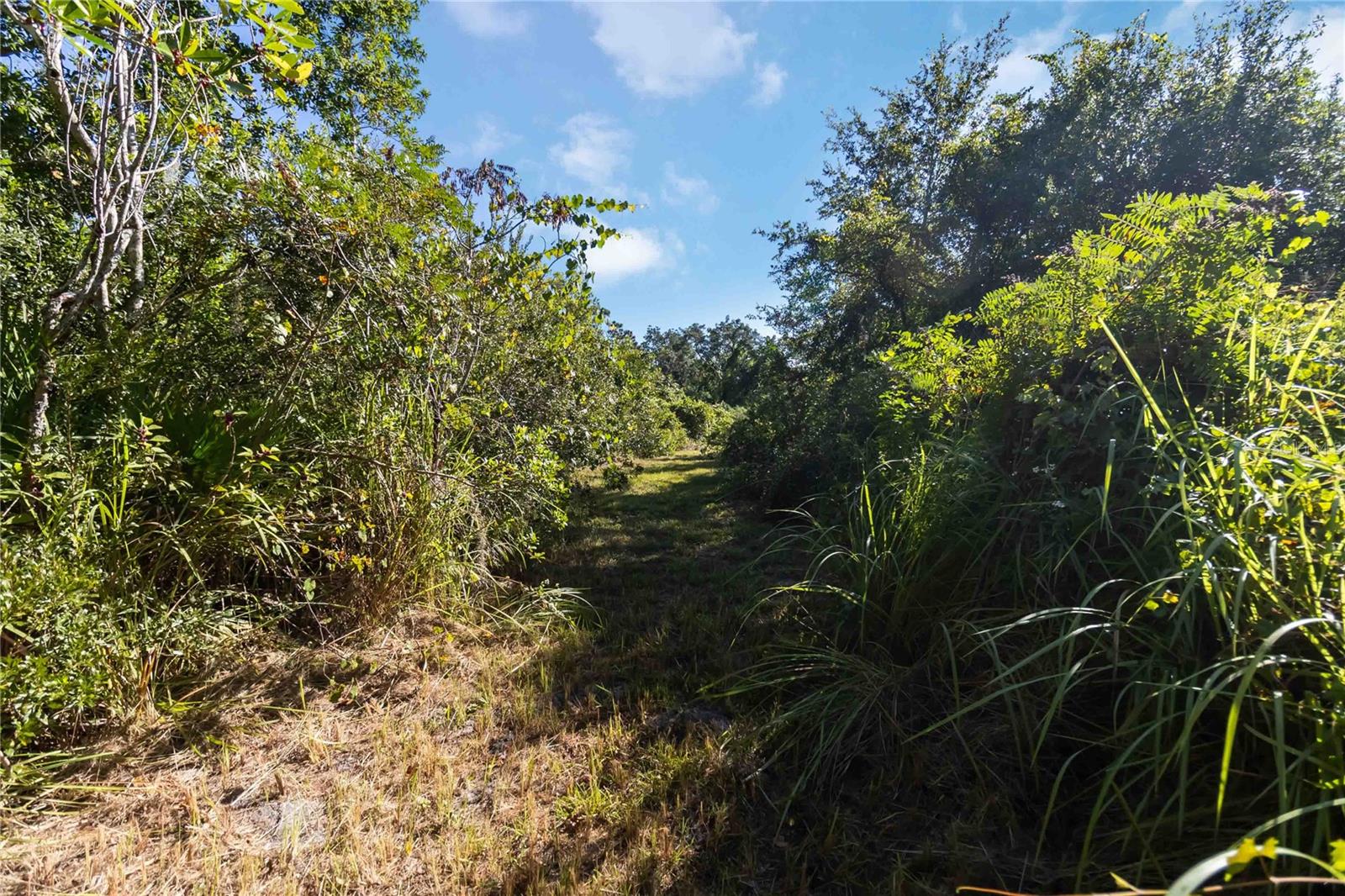 0 EDSEL AVE, ST CLOUD, FL — photo 20