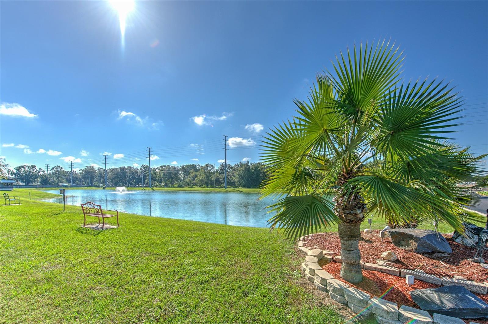 37605 AMIGO DR, ZEPHYRHILLS, FL — photo 7