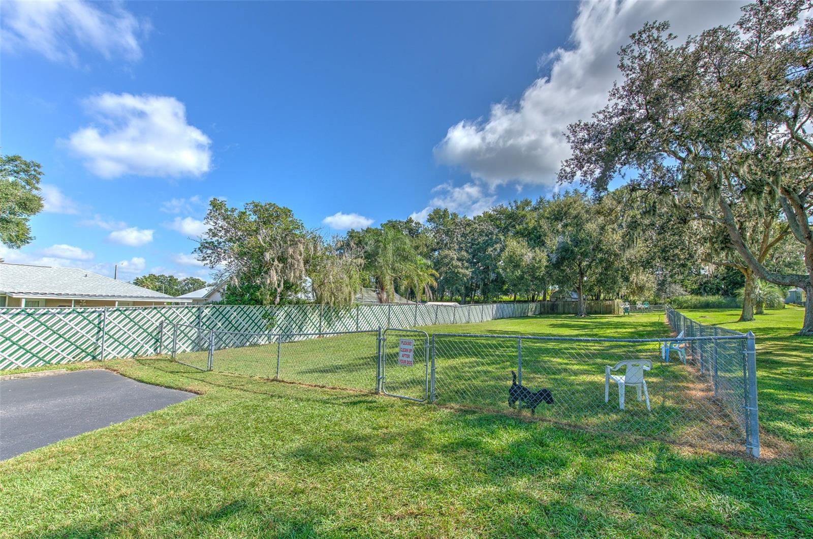 37605 AMIGO DR, ZEPHYRHILLS, FL — photo 34