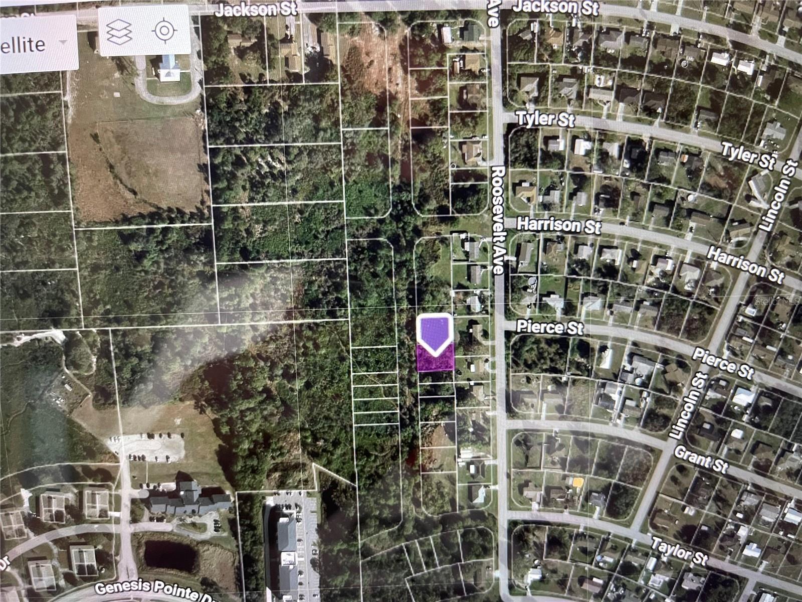 ROOSEVELT AVE, LAKE WALES, FL — photo 4