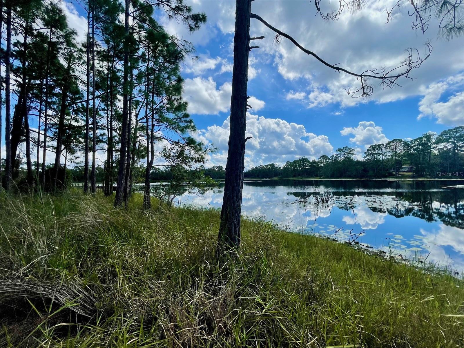 42318 W LAKE RD, DELAND, FL