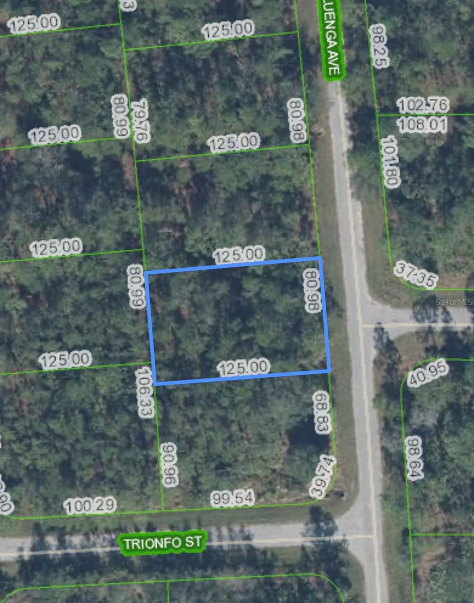 5119 LUENGA AVE, SEBRING, FL