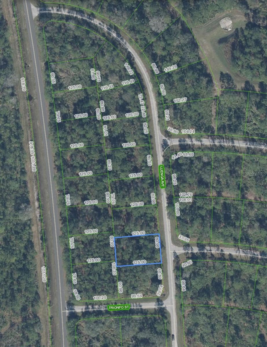 5119 LUENGA AVE, SEBRING, FL — photo 10