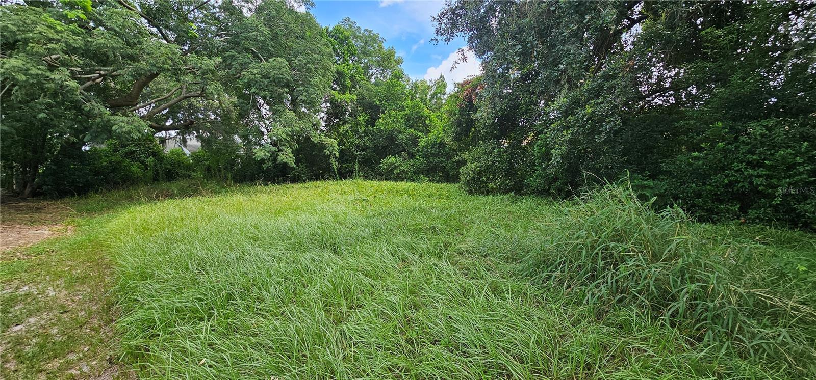PINE ISLAND DR, LEESBURG, FL