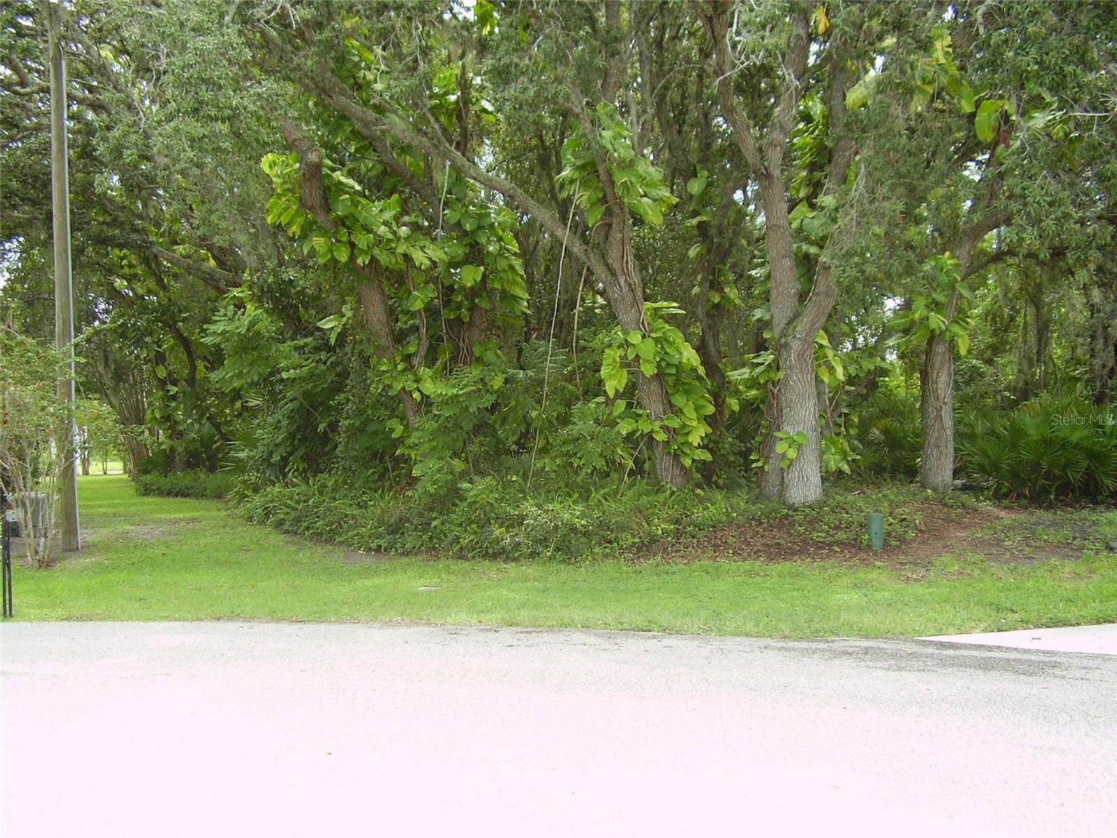 410 ANISE PL, KISSIMMEE, FL — photo 2