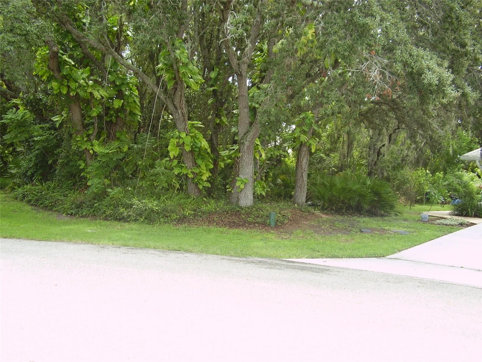 410 ANISE PL, KISSIMMEE, FL — photo 3