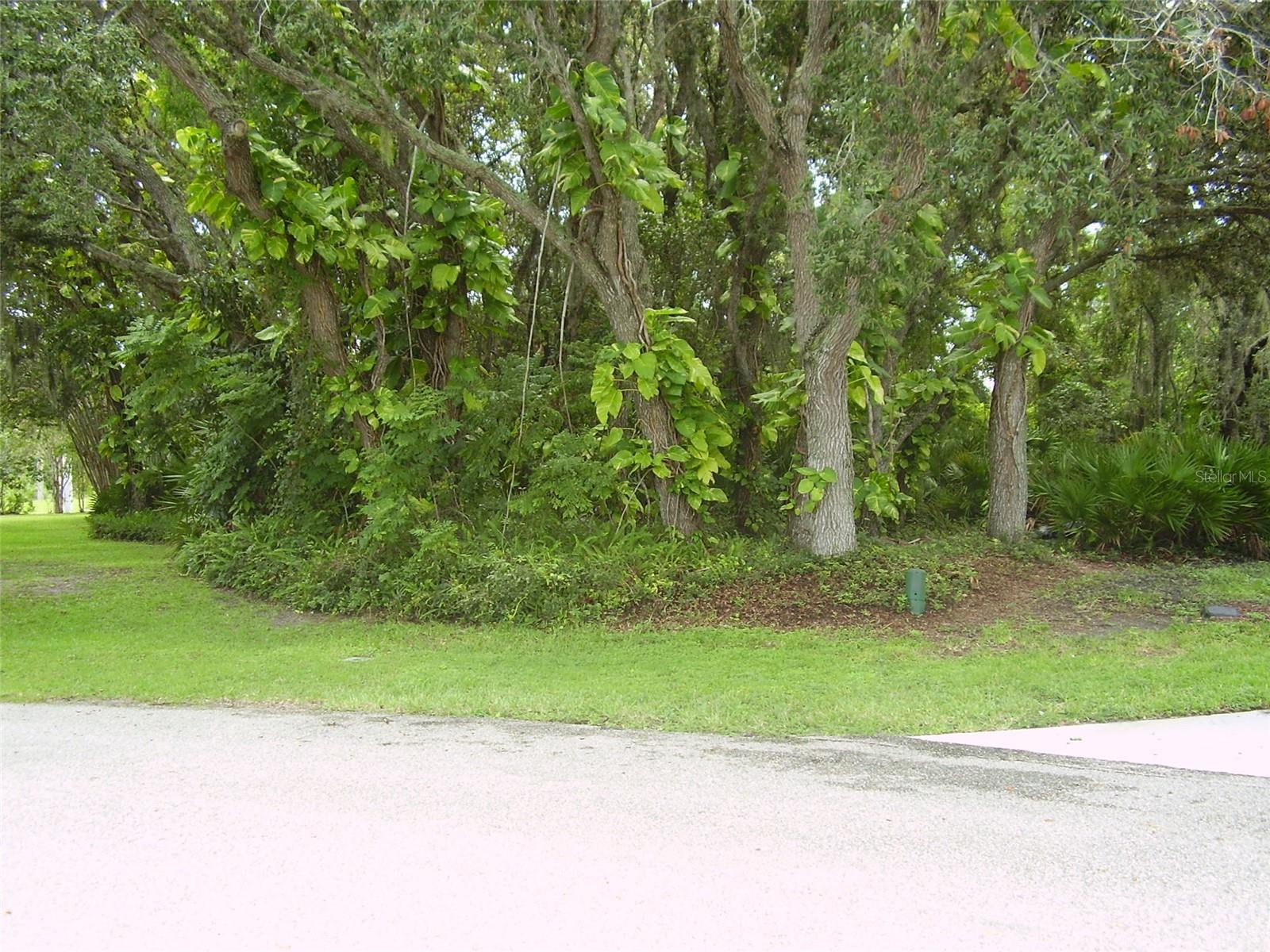 410 ANISE PL, KISSIMMEE, FL — photo 4