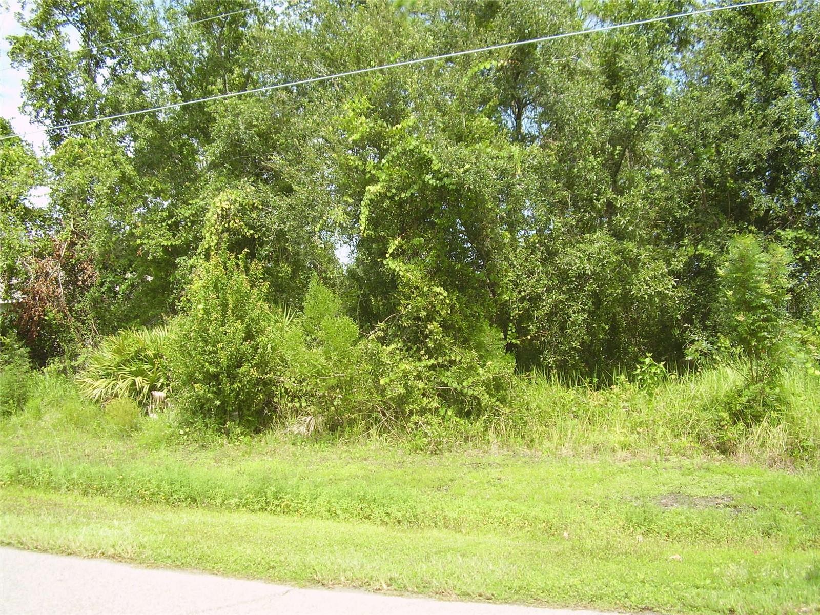 431 DOVE DR, KISSIMMEE, FL — photo 2