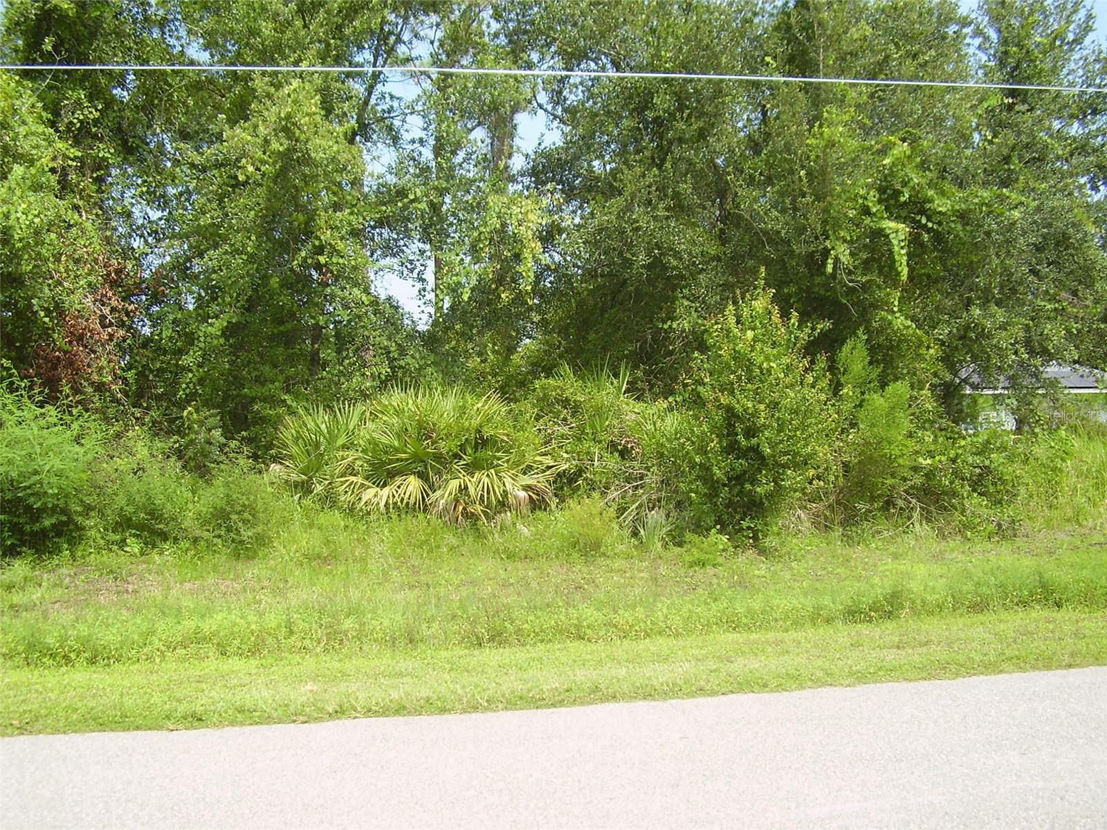 431 DOVE DR, KISSIMMEE, FL — photo 4