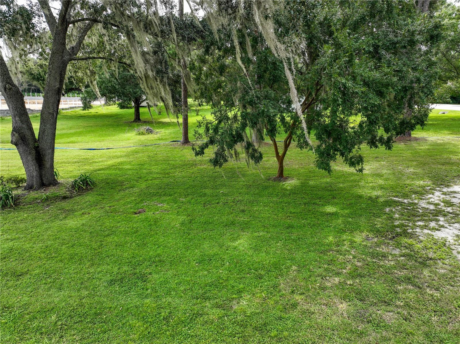 3636 E C-466, OXFORD, FL — photo 6