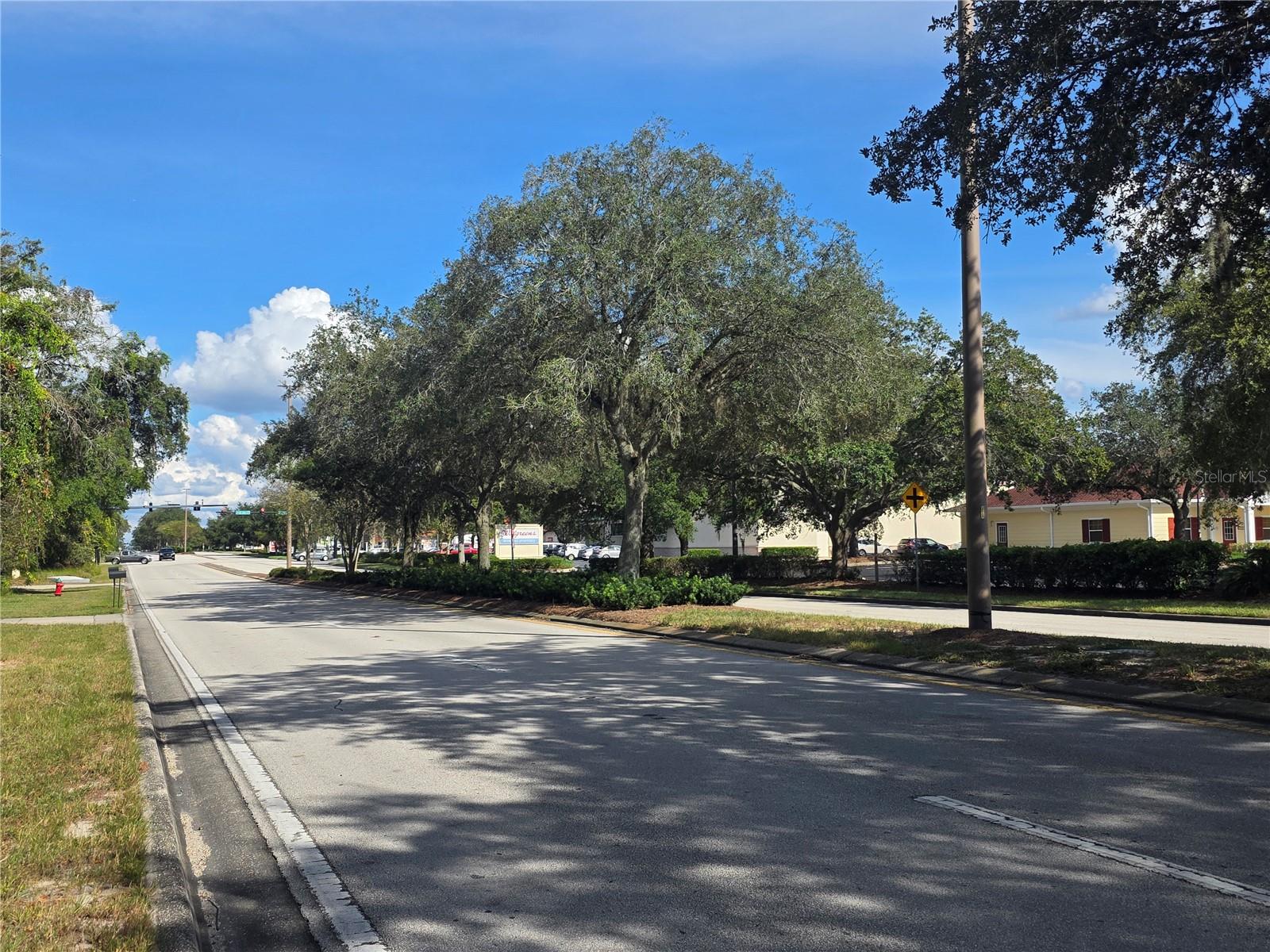 TBD HIGHWAY 42, SUMMERFIELD, FL — photo 11