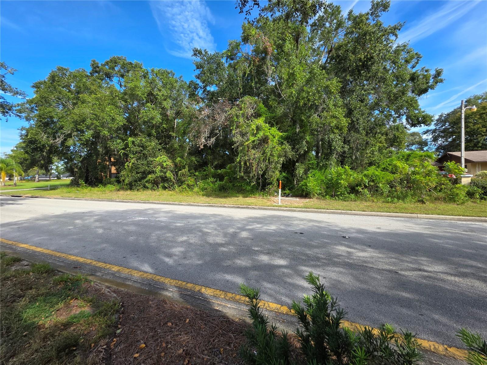 TBD HIGHWAY 42, SUMMERFIELD, FL — photo 4