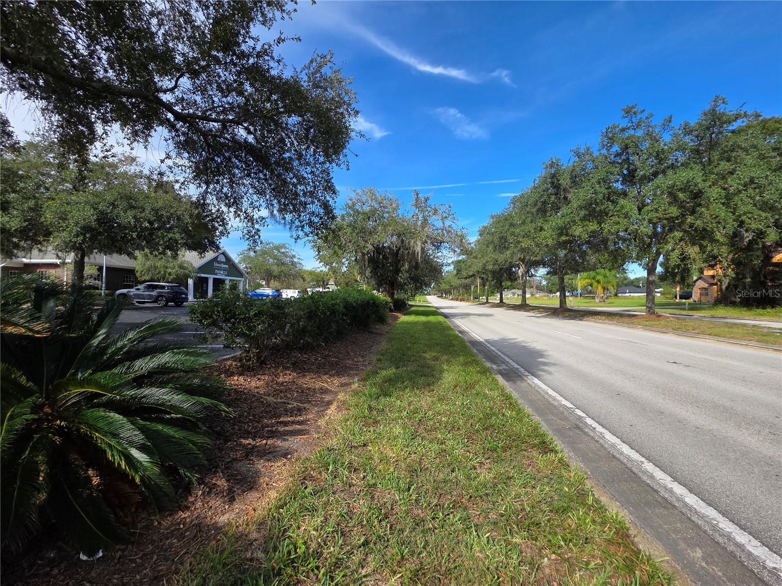 TBD HIGHWAY 42, SUMMERFIELD, FL — photo 13