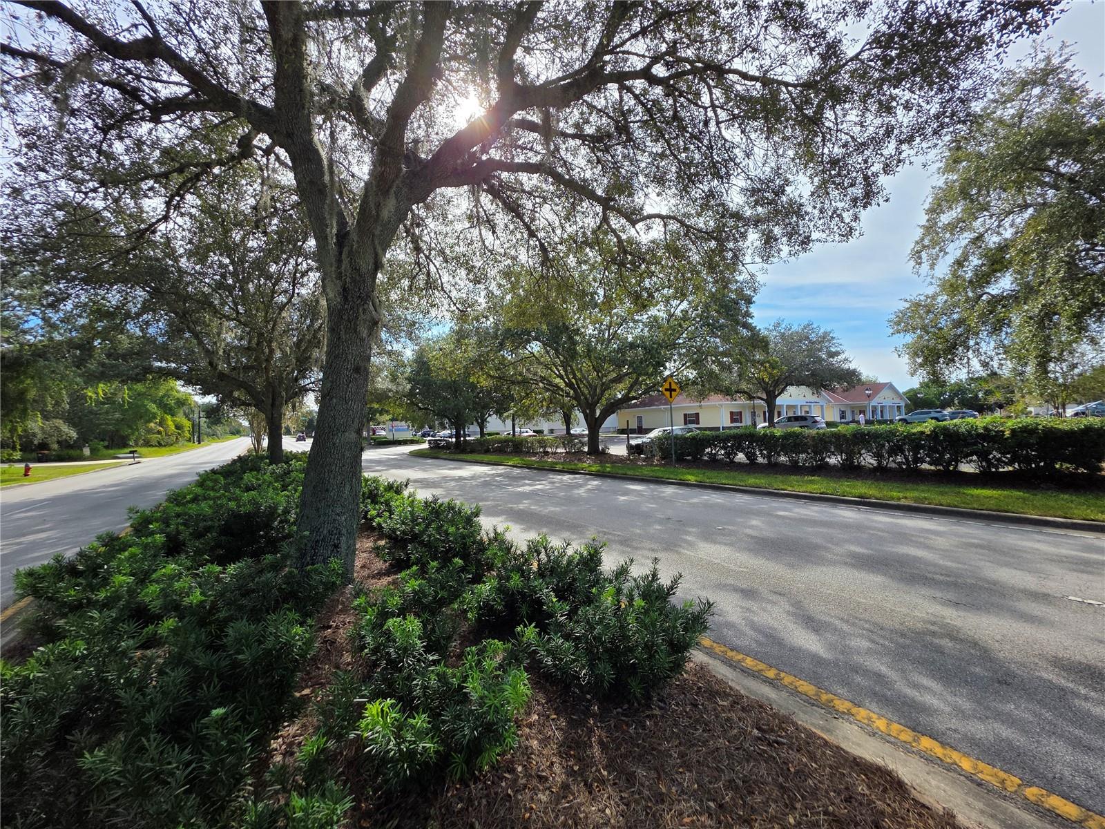 TBD HIGHWAY 42, SUMMERFIELD, FL — photo 15