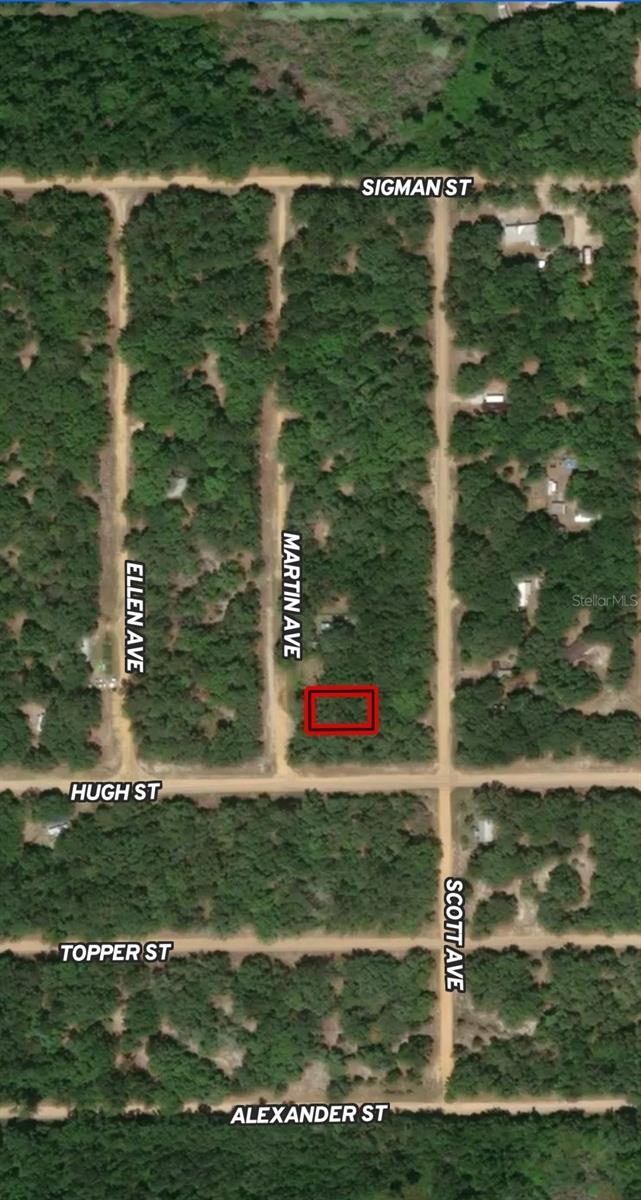 LOT 13 MARTIN AVE, INTERLACHEN, FL