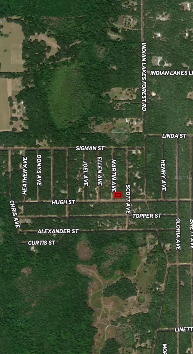 LOT 13 MARTIN AVE, INTERLACHEN, FL — photo 2
