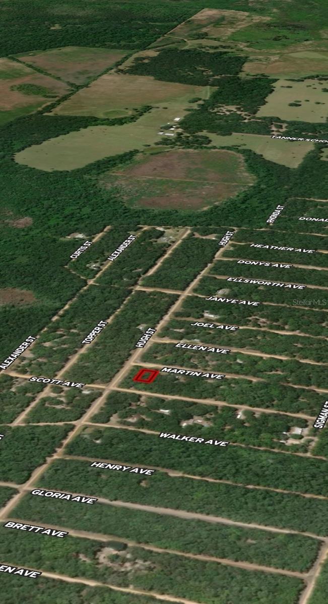 LOT 13 MARTIN AVE, INTERLACHEN, FL — photo 3