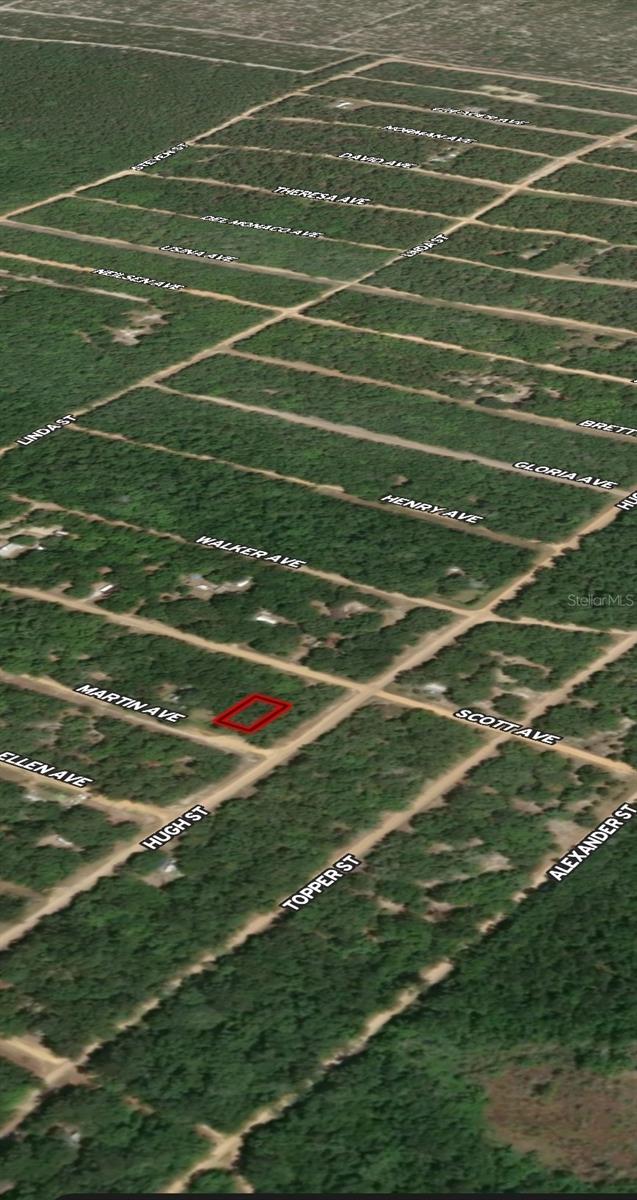 LOT 13 MARTIN AVE, INTERLACHEN, FL — photo 4
