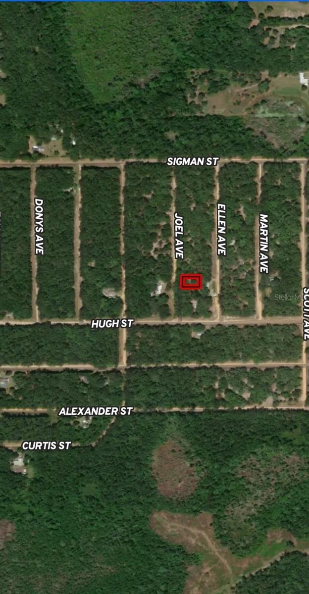 LOT 11 JOEL AVE, INTERLACHEN, FL — photo 2
