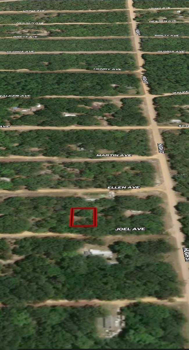 LOT 11 JOEL AVE, INTERLACHEN, FL — photo 3