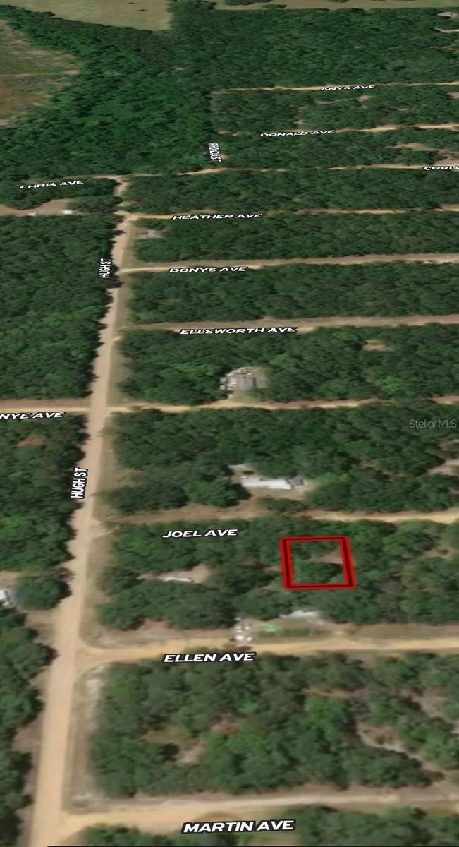 LOT 11 JOEL AVE, INTERLACHEN, FL — photo 4
