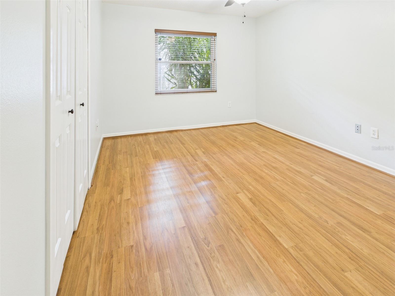 2013 DONNELLY PL, MOUNT DORA, FL — photo 25