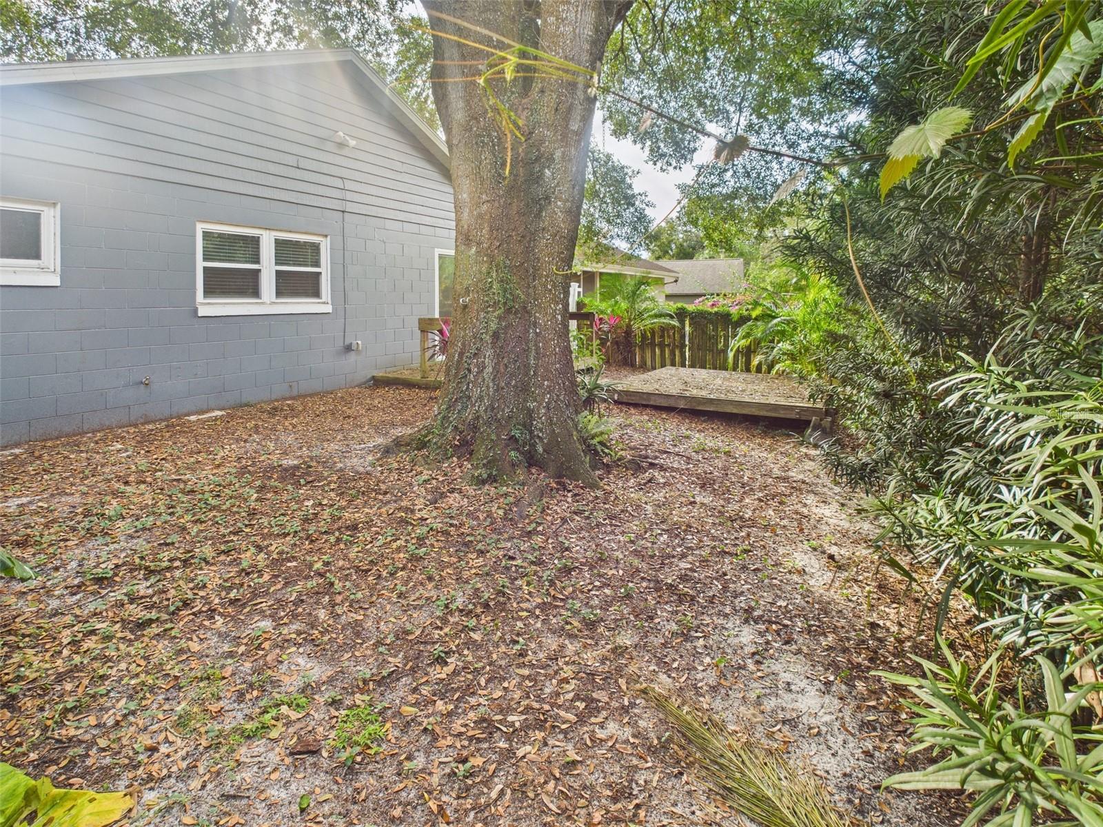 2013 DONNELLY PL, MOUNT DORA, FL — photo 54