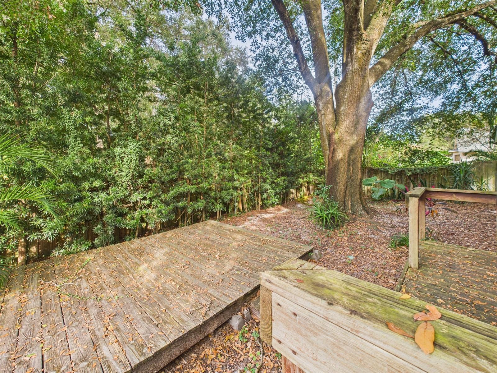 2013 DONNELLY PL, MOUNT DORA, FL — photo 56