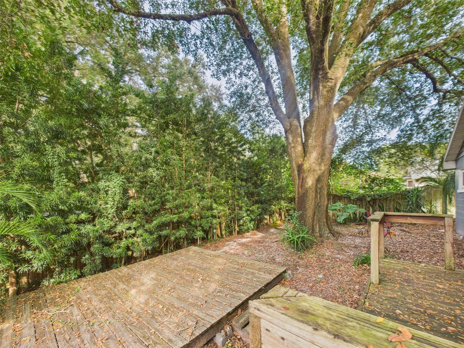 2013 DONNELLY PL, MOUNT DORA, FL — photo 59